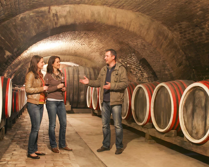 From Dubrovnik: Pelješac Peninsula Small Group Wine Tour