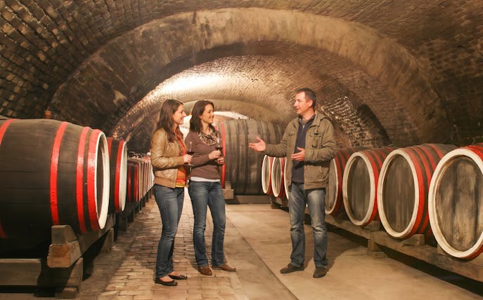 Tour group in an old wine cellar with large wooden barrels.