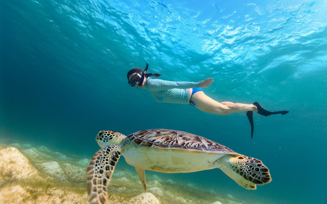 Young girl snorkeling alongside sea turtle in clear ocean water.