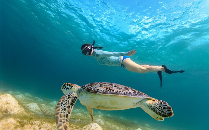 Young girl snorkeling alongside sea turtle in clear ocean water.