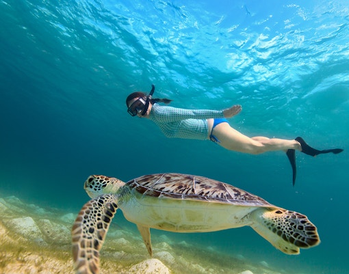 Young girl snorkeling alongside sea turtle in clear ocean water.