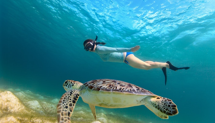 Young girl snorkeling alongside sea turtle in clear ocean water.