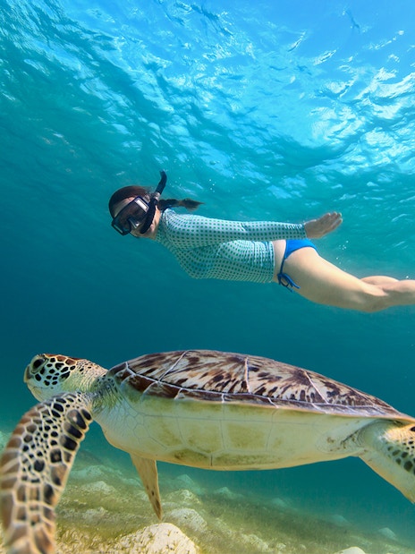 Young girl snorkeling alongside sea turtle in clear ocean water.
