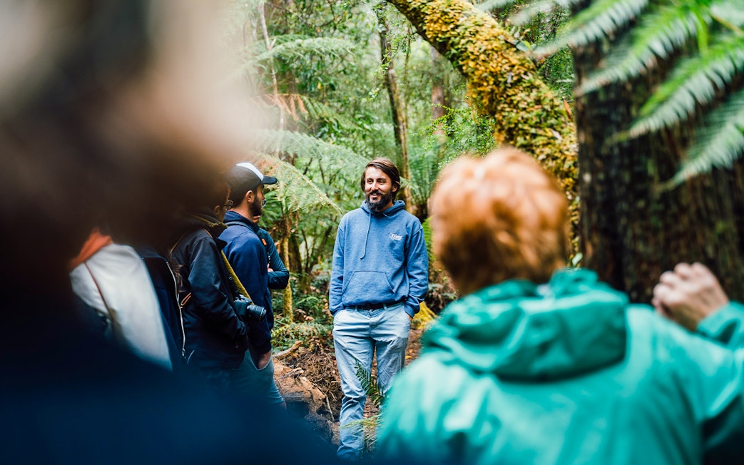 Tour guide leading a group through Bruny Island's lush forest.