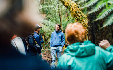 Tour guide leading a group through Bruny Island's lush forest.
