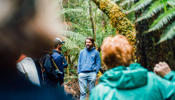 Tour guide leading a group through Bruny Island's lush forest.