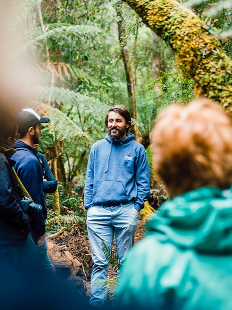 Tour guide leading a group through Bruny Island's lush forest.