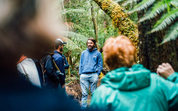 Tour guide leading a group through Bruny Island's lush forest.