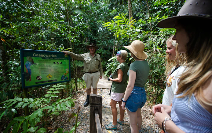 Guide explaining cassowary conservation to tourists in Daintree rainforest, Billy Tea Safaris.