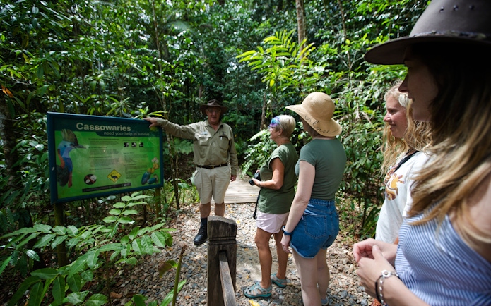 Guide explaining cassowary conservation to tourists in Daintree rainforest, Billy Tea Safaris.