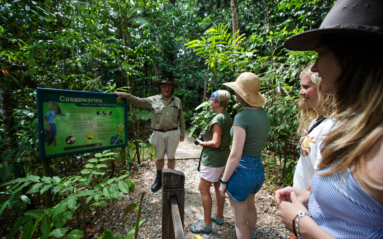 Ab Cairns/Port Douglas: Ganztägige 4WD-Tour von Daintree, Mossman Gorge und Cape Tribulation mit Mittagessen, Dessert und Flussfahrt — 2