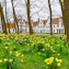 Béguinage