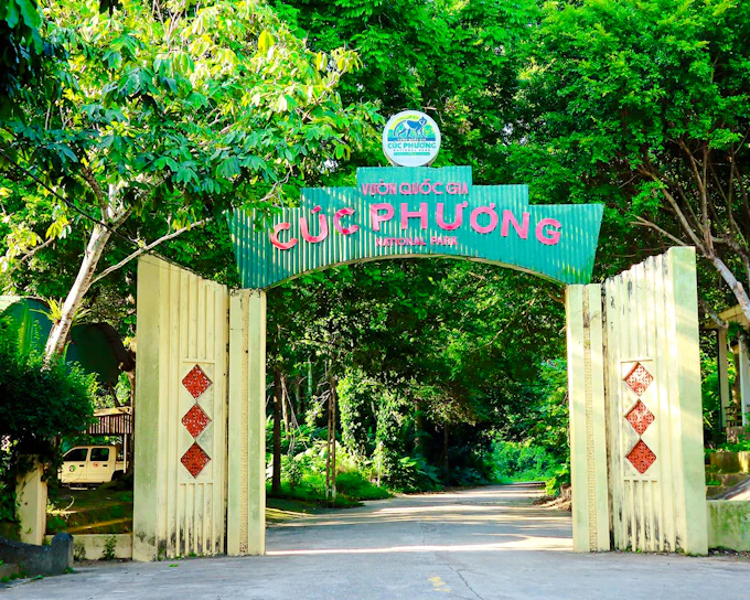 From Hanoi: Cuc Phuong National Park Day Trip