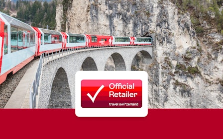 Swiss Half Fare Card: 50% Discount on Train, Bus & Boat Tickets for 1 Month