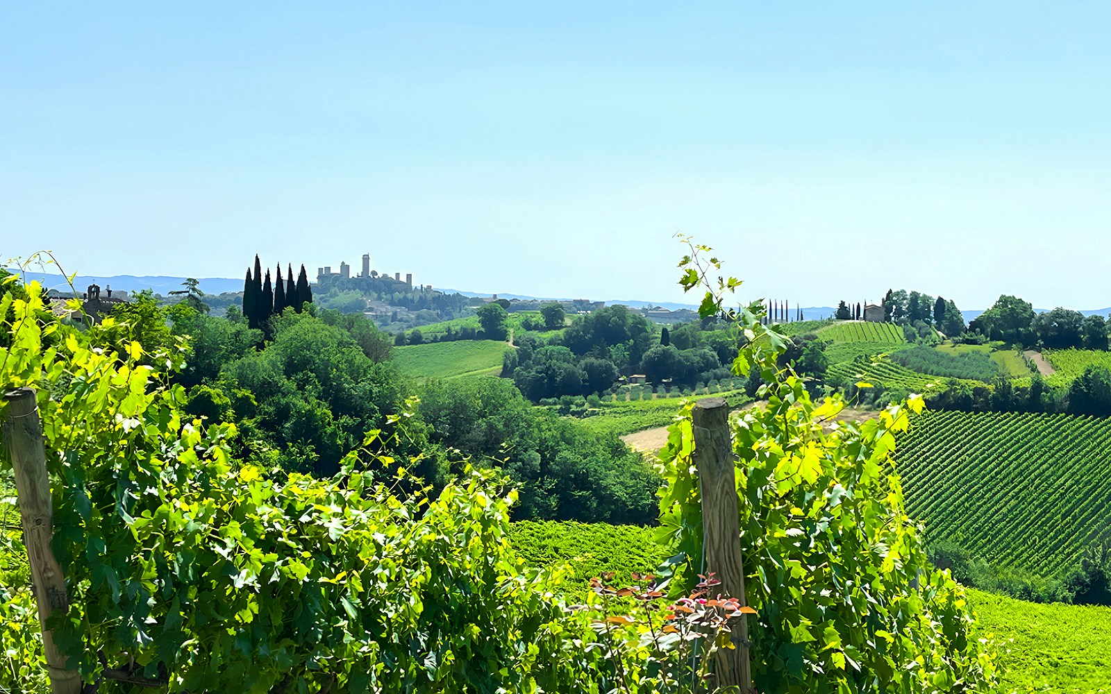 Vineyards and rolling hills in Tuscany with San Gimignano towers in the distance.