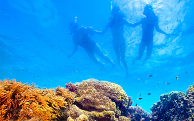 Snorkelers exploring coral reef on Thundercat Whitsundays Full Day Tour.