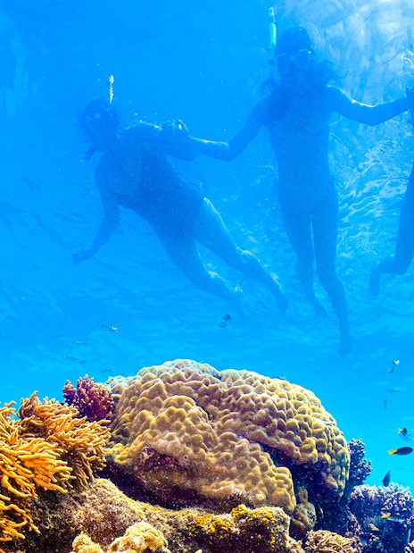 Snorkelers exploring coral reef on Thundercat Whitsundays Full Day Tour.