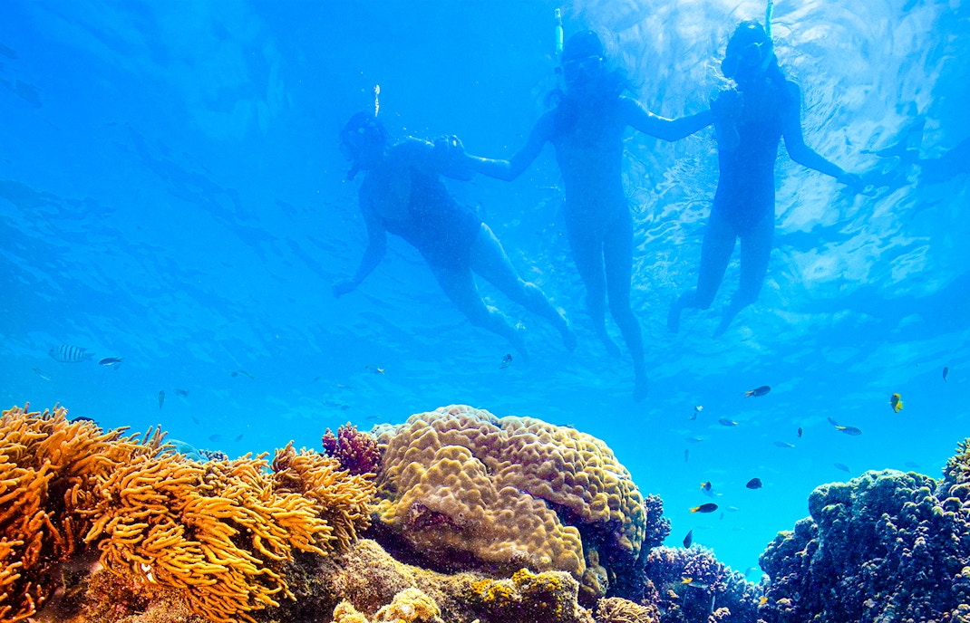 Snorkelers exploring coral reef on Thundercat Whitsundays Full Day Tour.