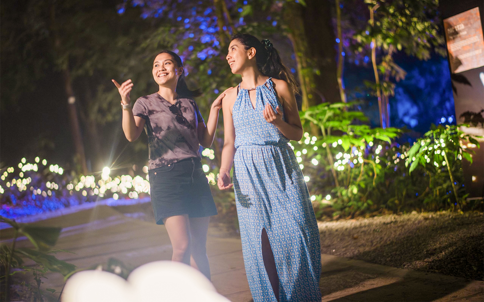 Dream Forest Langkawi Tickets