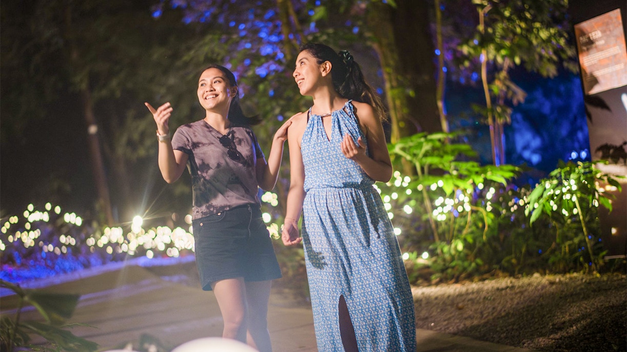 Dream Forest Langkawi Tickets