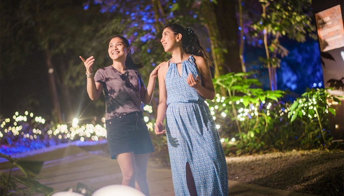 Inside Dream Forest Langkawi