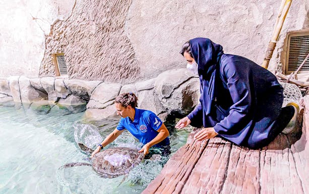 Aquarium staff member interacting with a sea turtle at the National Aquarium.