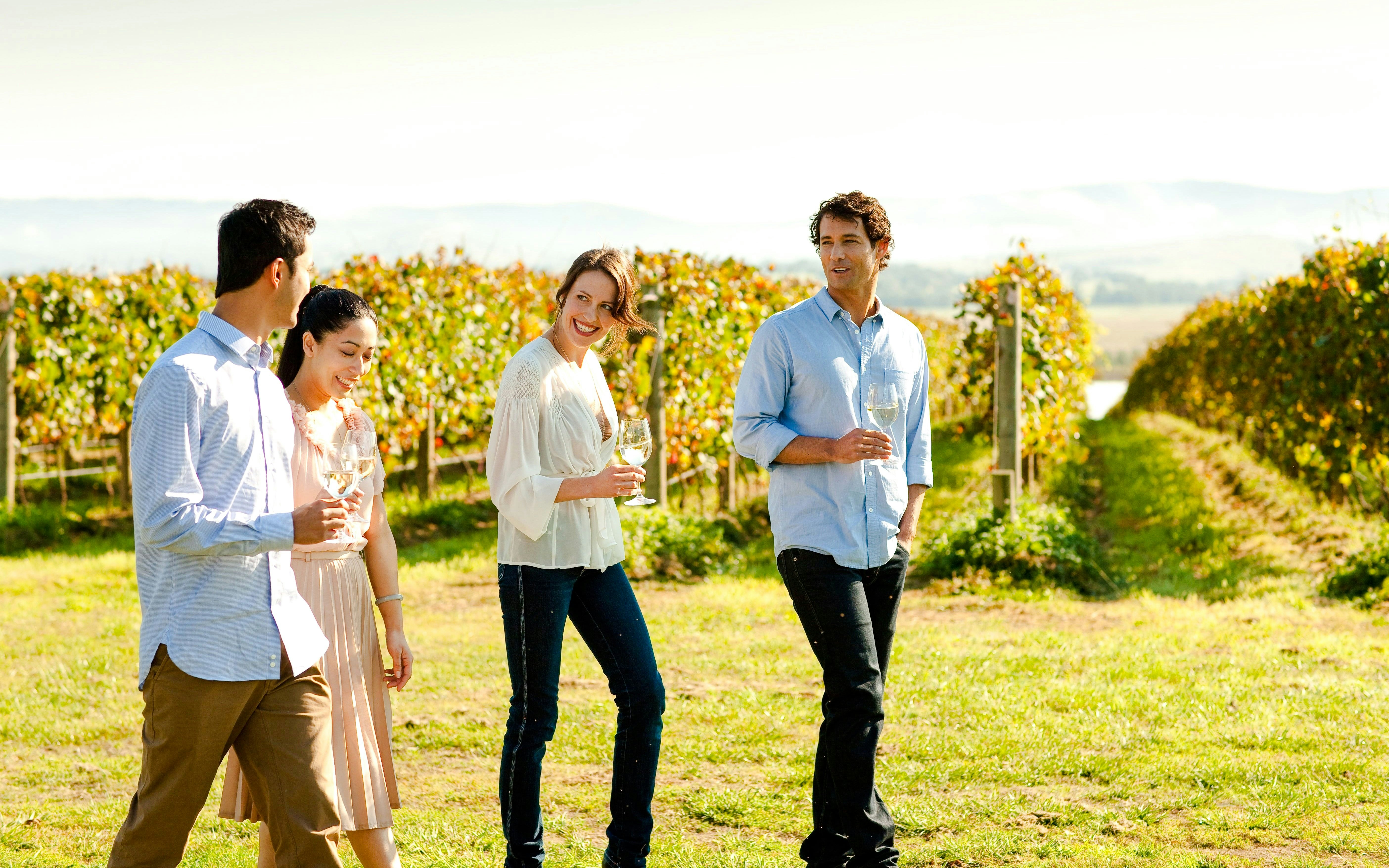 Group enjoying wine in Yarra Valley vineyard.
