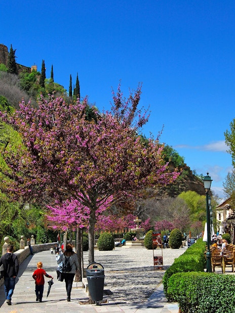 Alhambra view from Albaicin with people walking along a tree-lined path.