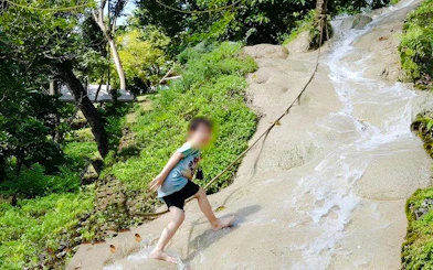 From Chiang Mai: Bua Thong Sticky Waterfalls and Mae Ngat Dam Boat Tour