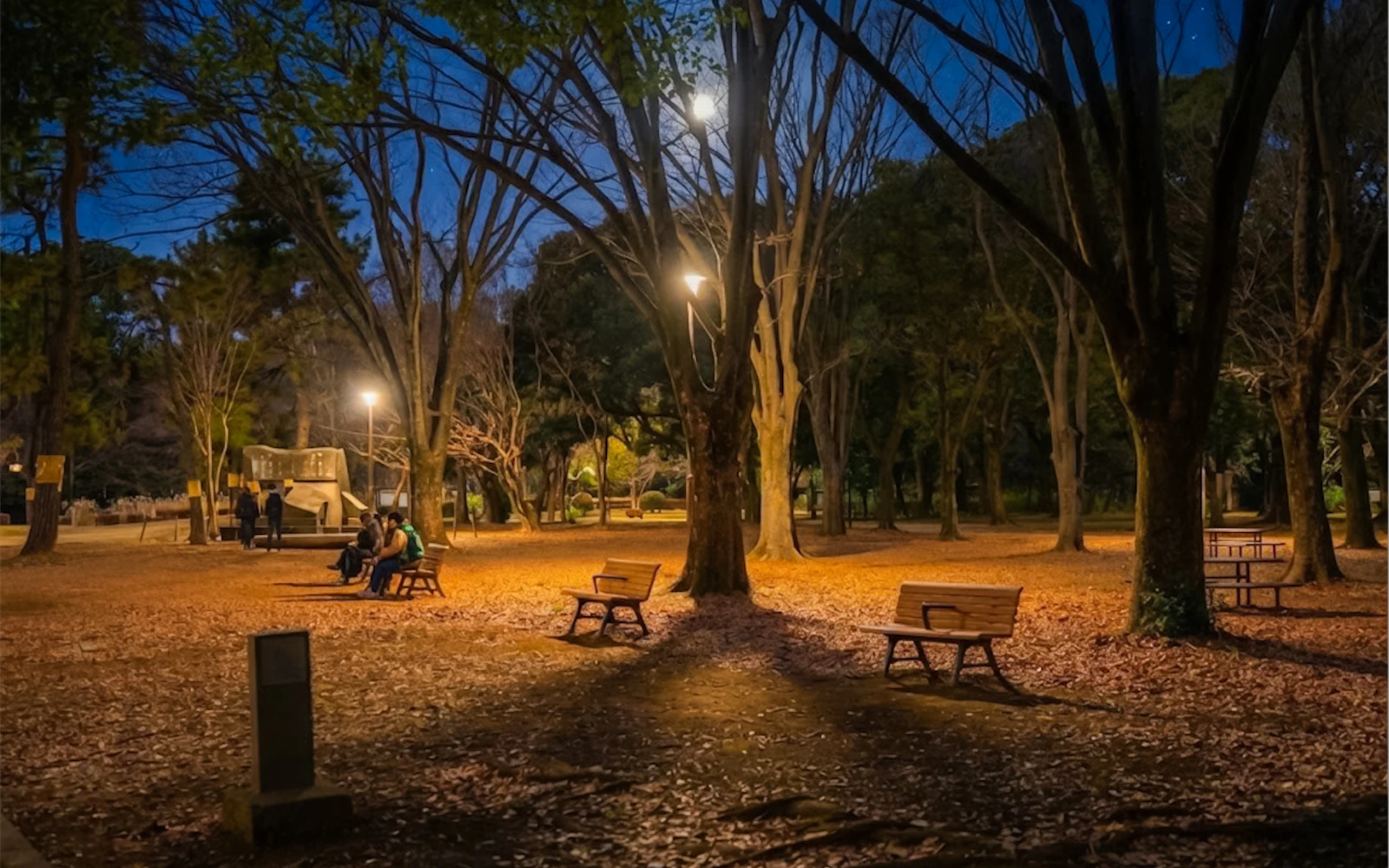 Tokyo Night Ghosts and Urban Legends Walking Tour with Aoyama Cemetery Image 2