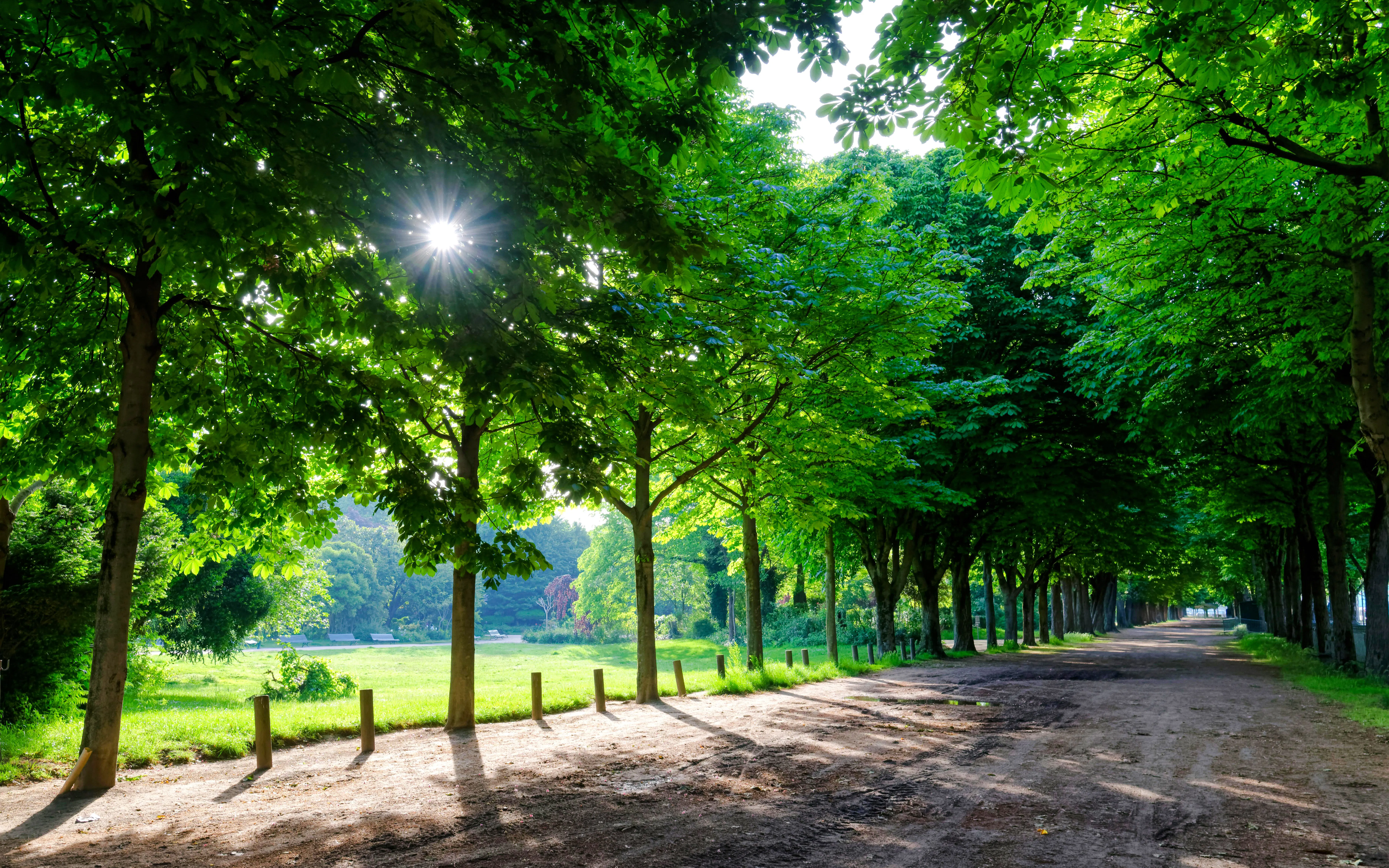 Jardin des Champs-Élysées