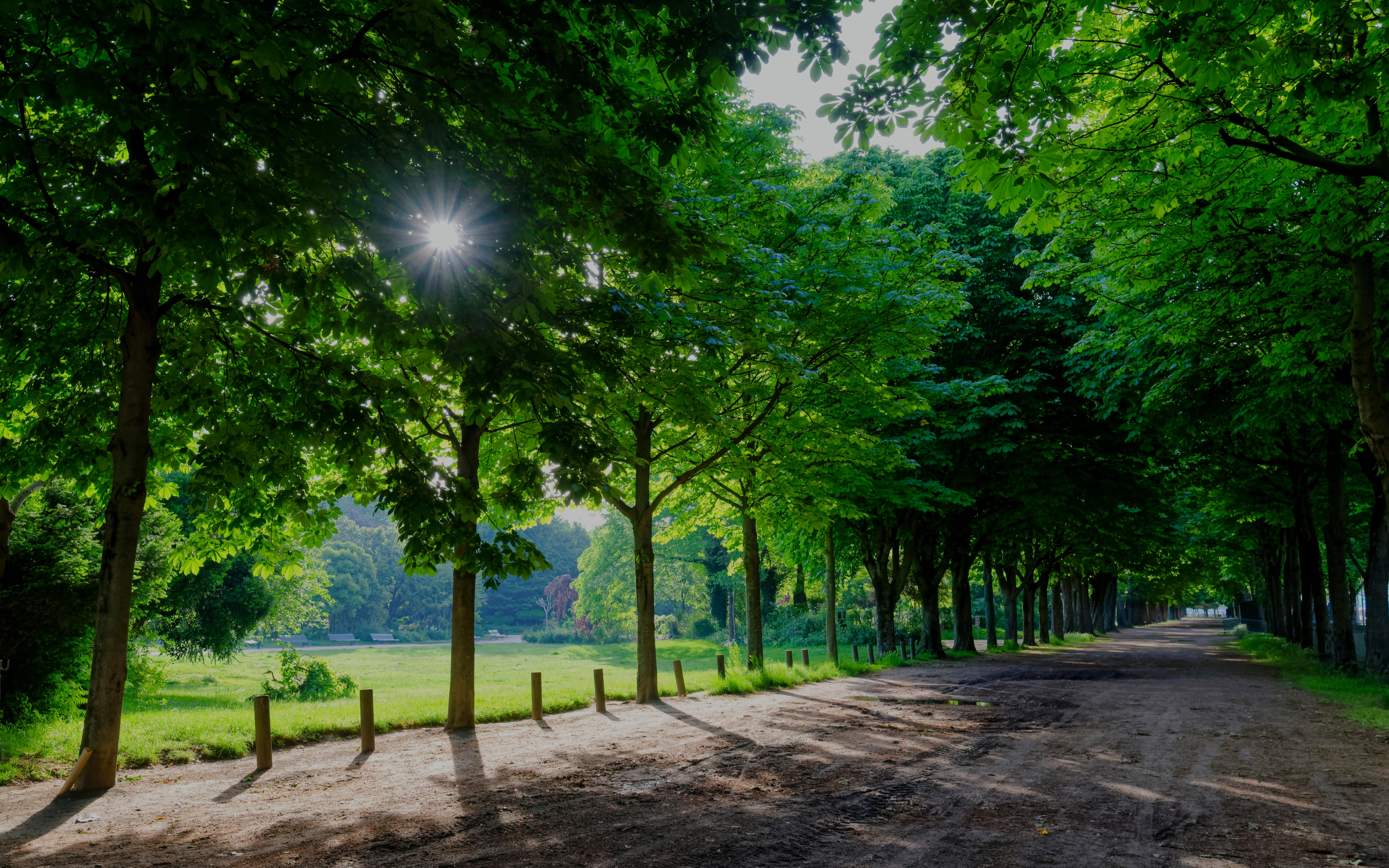 Jardin des Champs-Élysées