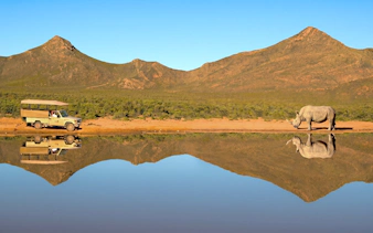 Safari vehicle near white rhino by water at Aquila Safari, South Africa.