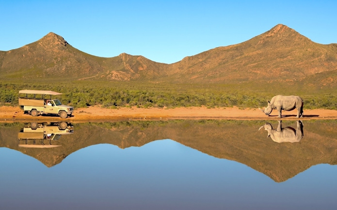 Safari vehicle near white rhino by water at Aquila Safari, South Africa.