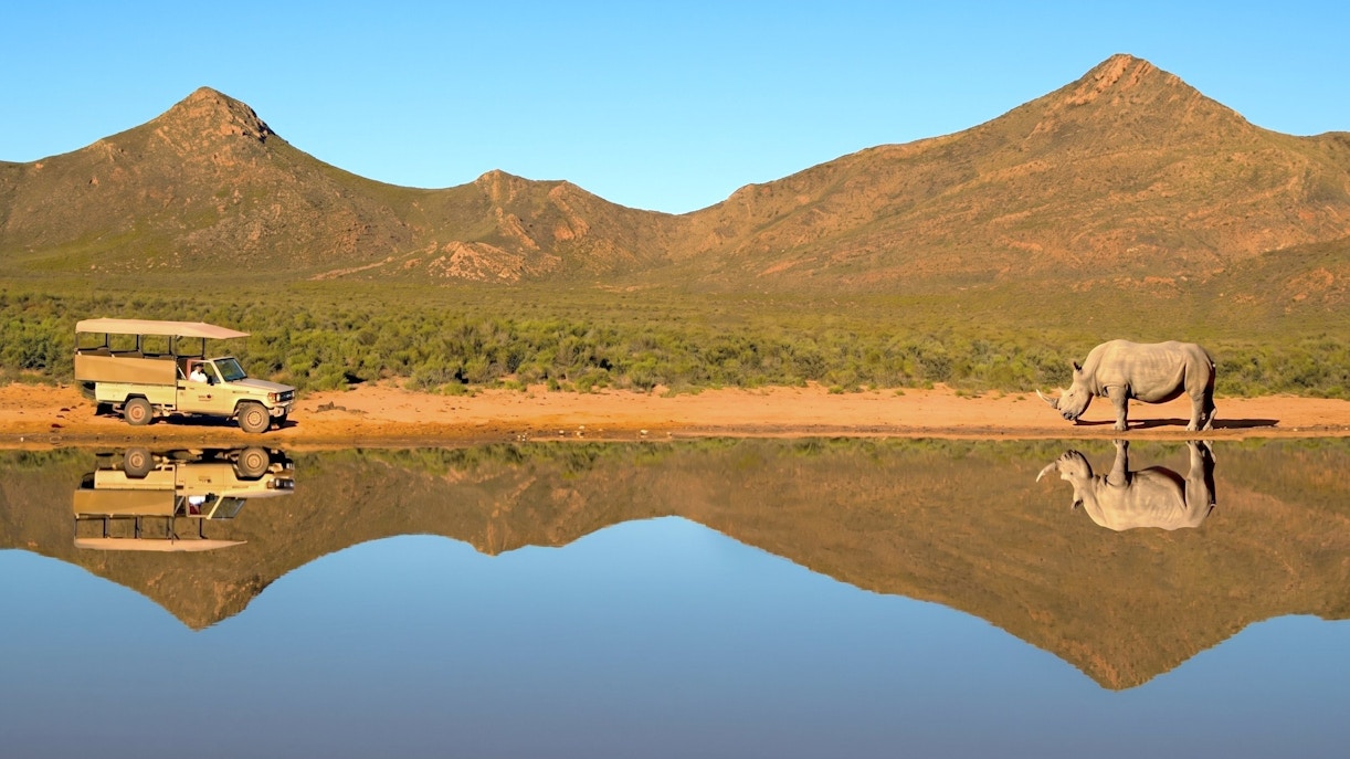Safari vehicle near white rhino by water at Aquila Safari, South Africa.