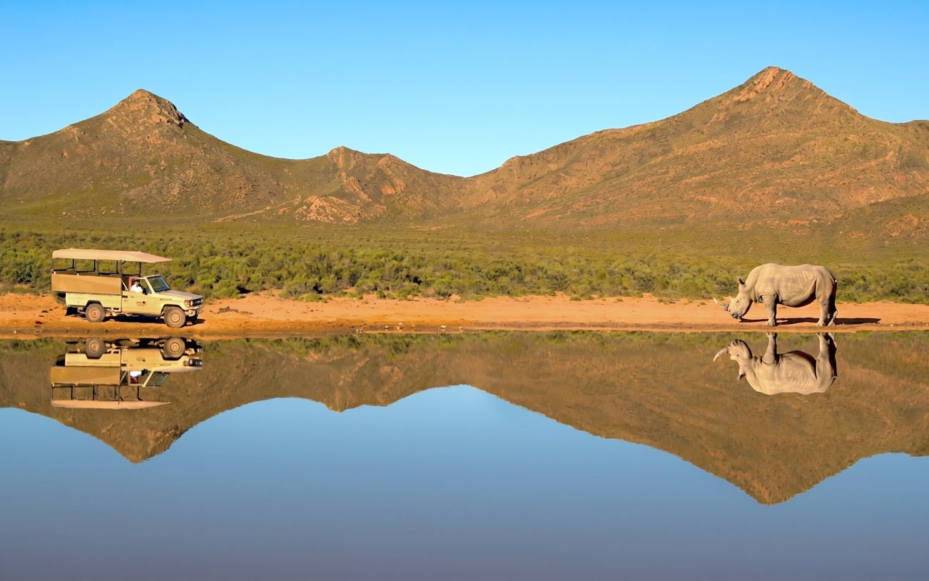 Safari vehicle near white rhino by water at Aquila Safari, South Africa.