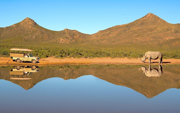 Safari vehicle near white rhino by water at Aquila Safari, South Africa.