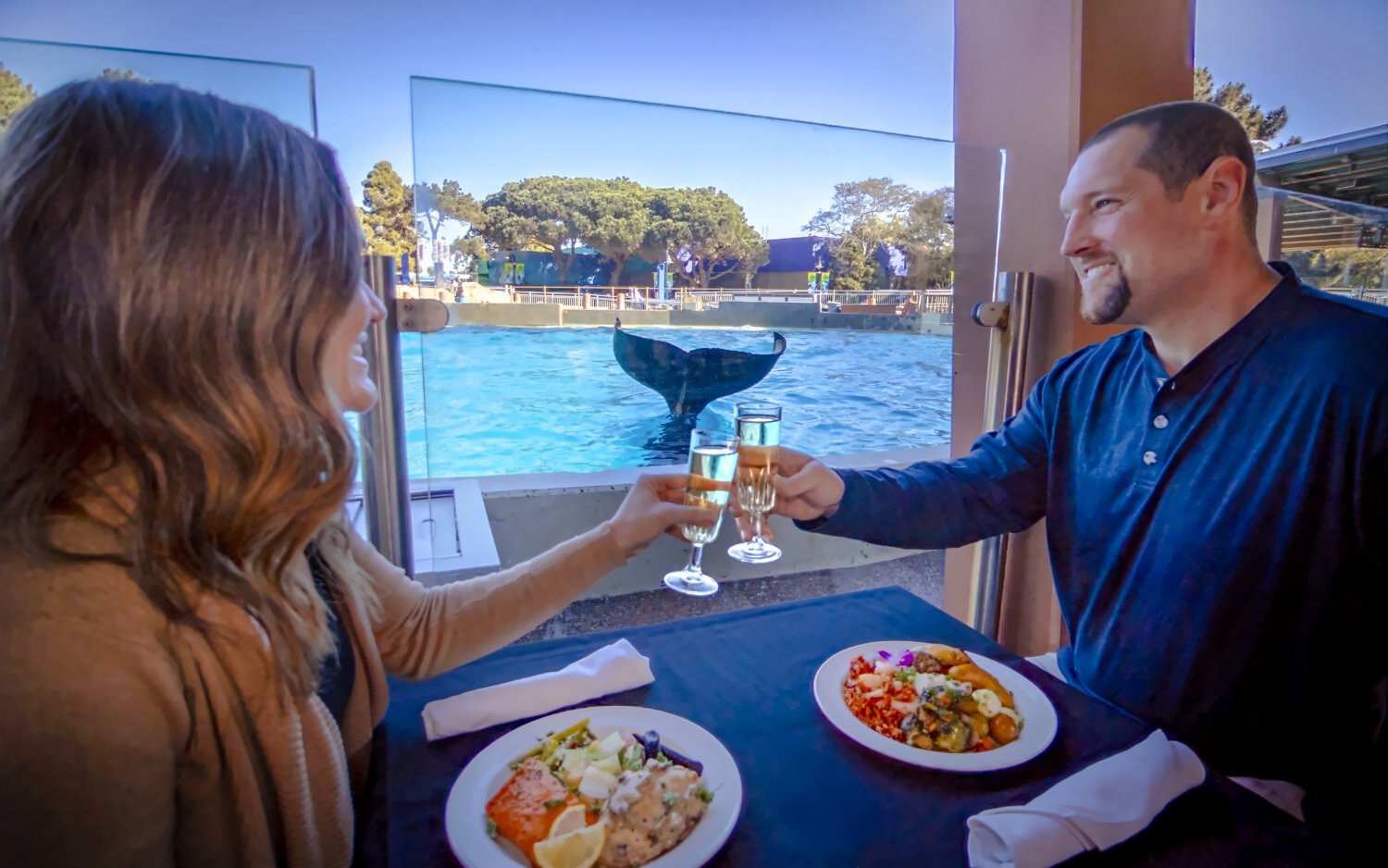 Dining with orcas at SeaWorld San Antonio, couple toasting with champagne by the pool.