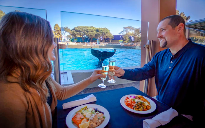 Dining with orcas at SeaWorld San Antonio, couple toasting with champagne by the pool.