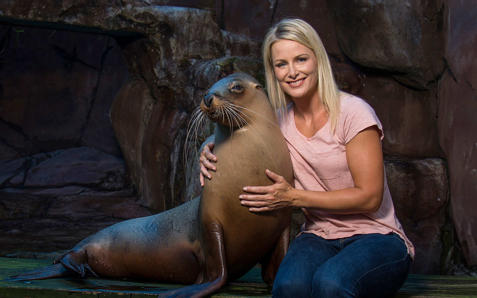 Woman interacting with a seal at SEA LIFE Sunshine Coast.