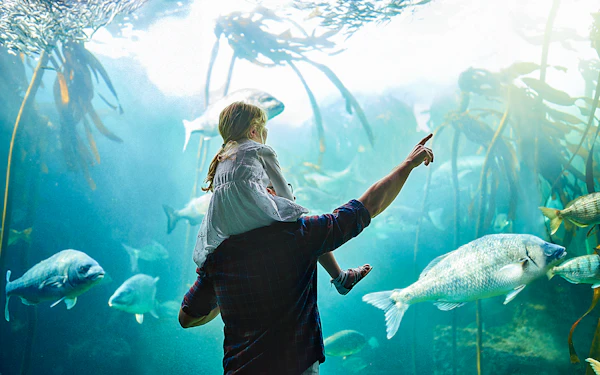 Aquatis Aquarium Vivarium Entry Tickets