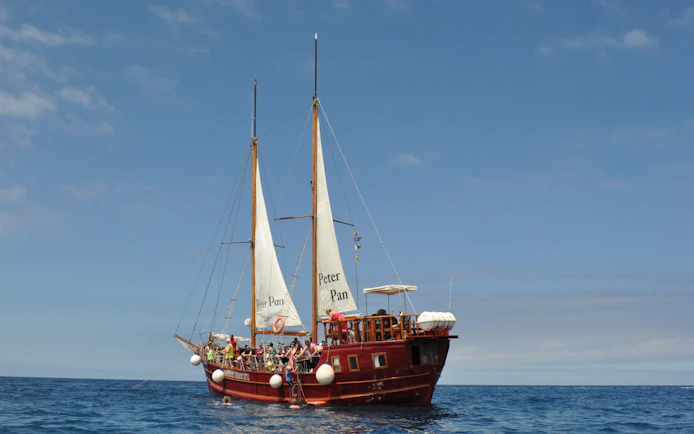 Tourists on Peter Pan Pirate boat for whale and dolphin watching in Tenerife.