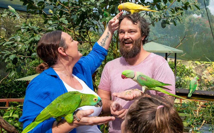 Visitors interacting with colorful parrots at Birdworld Kuranda.