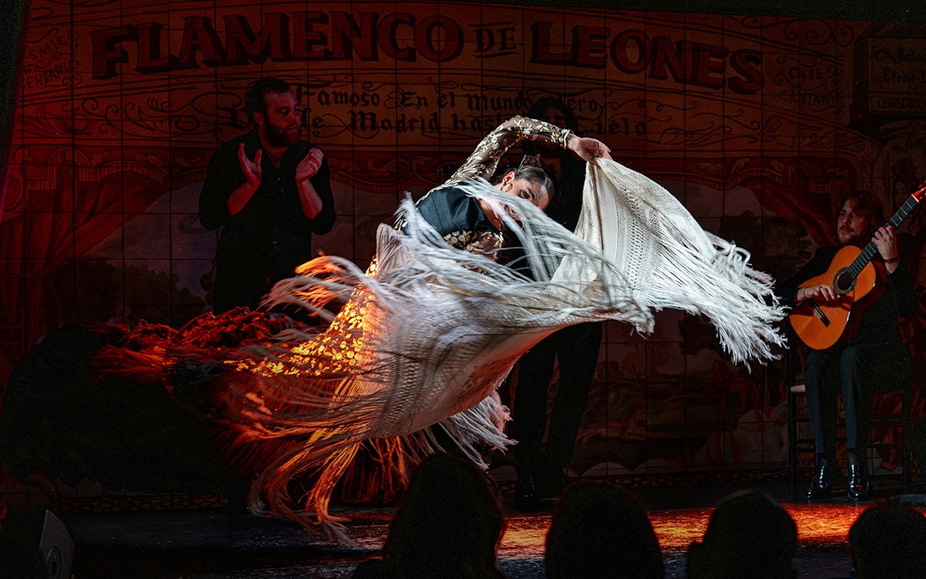 Flamenco dancer performing with guitarist at Flamenco De Leones Show.