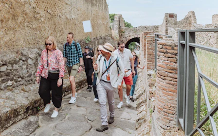 From Salerno Port: Pompeii and Herculaneum Private Excursion tickets included