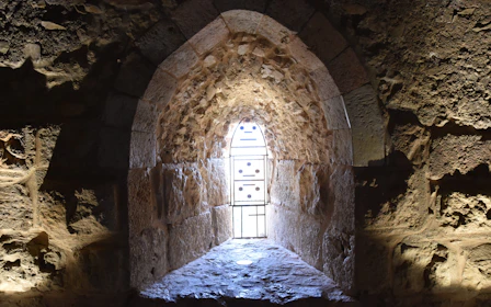From Amman: Private Car Hire to Jerash, Ajloun Castle, and Umm Qais