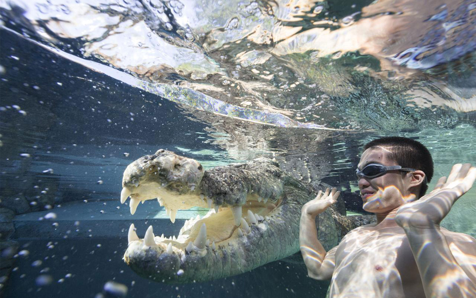 Crocosaurus Cove Tickets