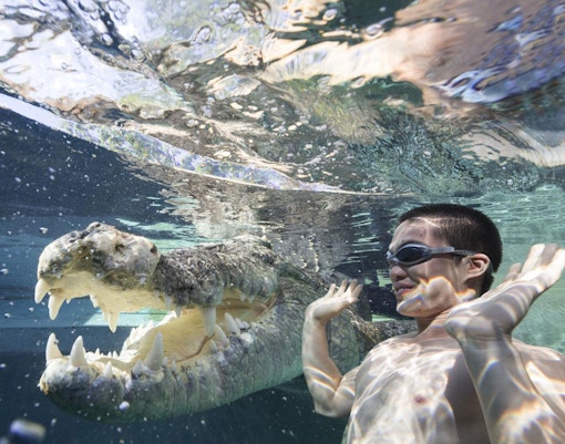 Crocosaurus Cove Tickets