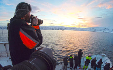 Guest photographing whales from a cruise at sunset in Arctic waters.