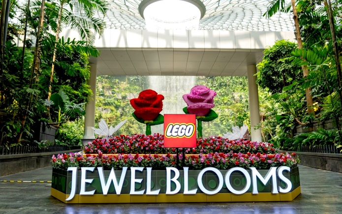 Jewel Changi Airport Canopy Park with LEGO flower display and lush greenery.